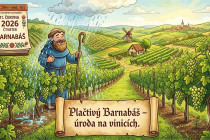 Obrázek pro článek Pranostika na 11.6..2026