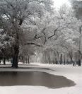 Fotogalerie