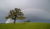 Fotografie duhy 5