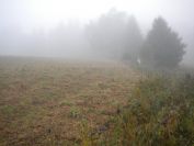 Šumava