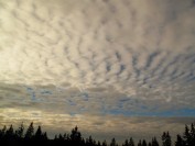 Altocumulus