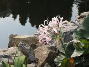 Fotogalerie