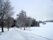 Fotogalerie