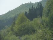 moravské lesy