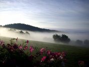 Fotogalerie