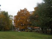 Fotogalerie