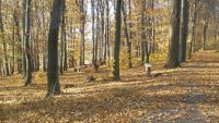 Podzim