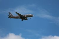 Airbus 319 vládní speciál