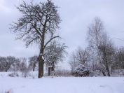 v kopcích nad Ústím n/L.