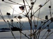 U cesty..