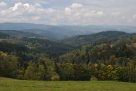 Šumava