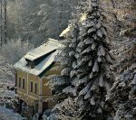 Fotogalerie